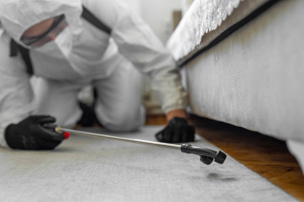 Professional Bed Bug Control technician working in Tuolumne City, CA